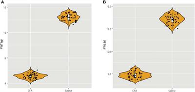 Integrated Analysis of Omics Data Reveal AP-1 as a Potential Regulation Hub in the Inflammation-Induced Hyperalgesia Rat Model